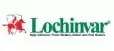 Lochinvar logo featuring a red knight on horseback and the text 'Lochinvar High Efficiency Water Heating Solutions'.